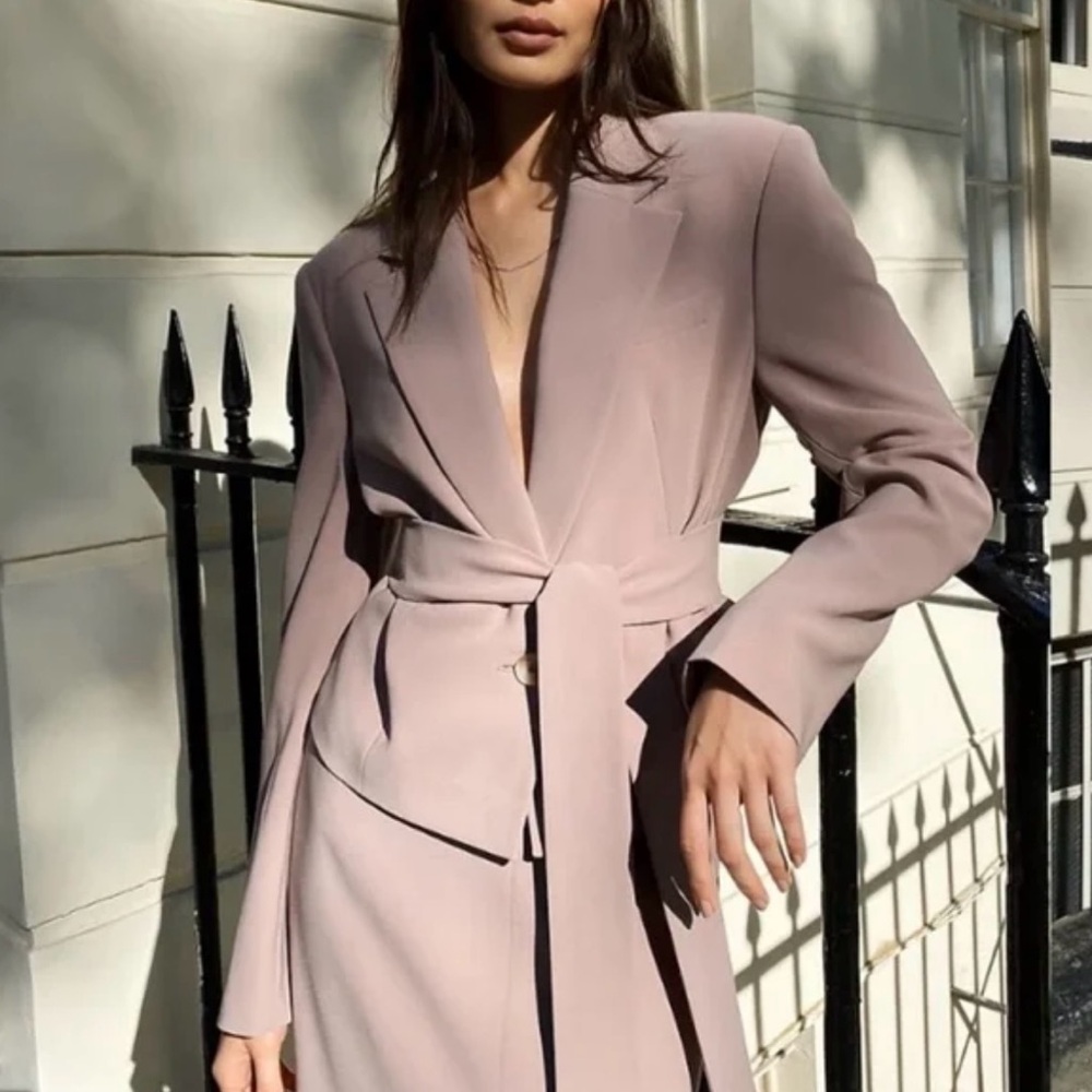 NWOT Aritzia Babaton Santos Blazer (L)